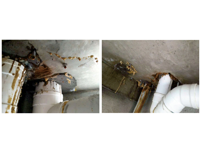 衛生間頂板注漿堵漏失敗案例——后采用背水壓反滲漏防水涂料完美修復